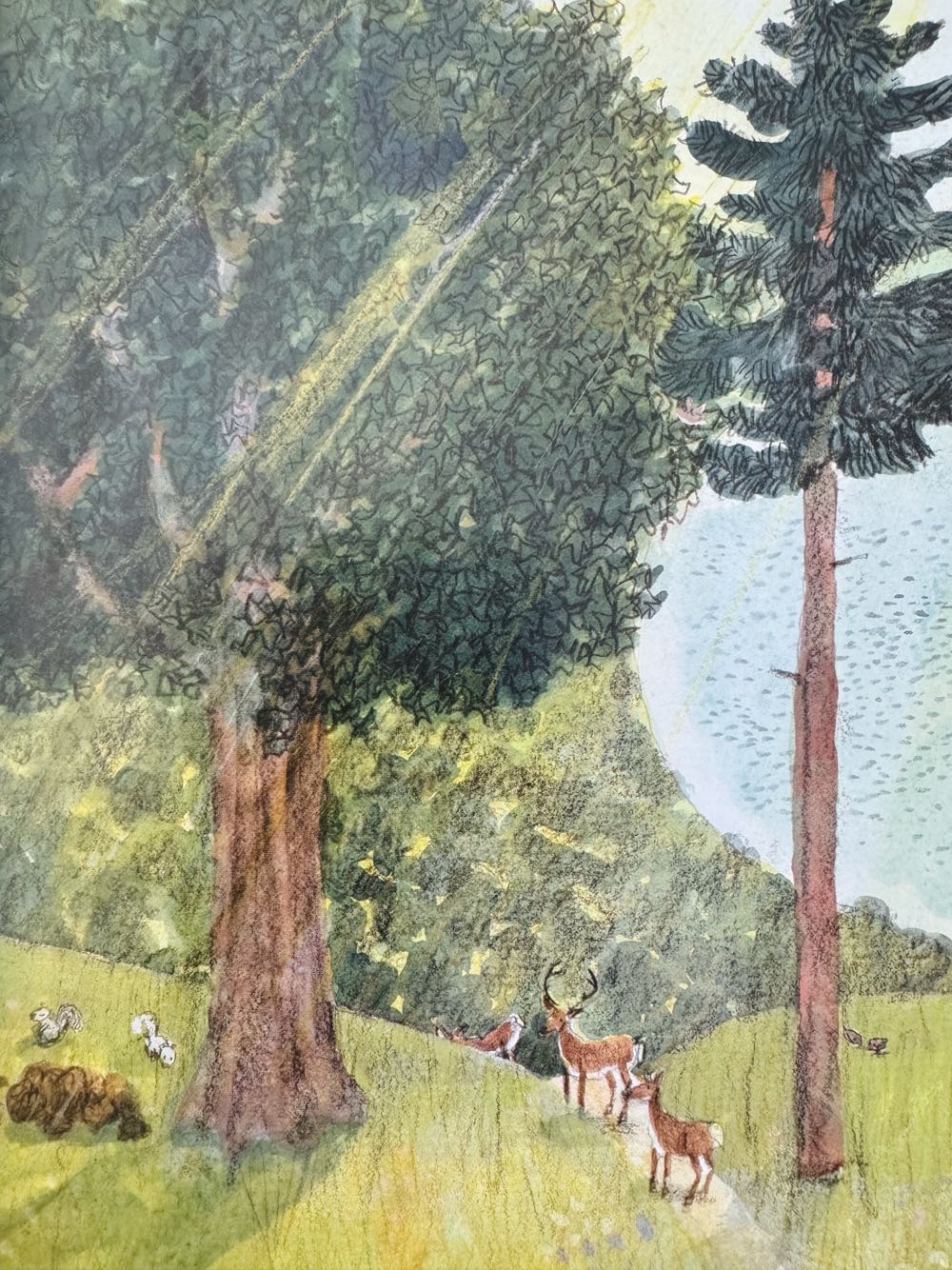 As an Oak Tree Grows - G. Brian Karas (Penguin Group - Paperback) book collectible [Barcode 9780399176036] - Main Image 4