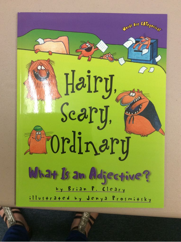 Hairy, Scary, Ordinary - Brian P. Cleary (Millbrook Press - Paperback) book collectible [Barcode 9781575055541] - Main Image 1