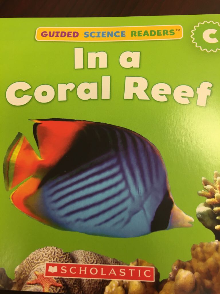 In a Coral Reef