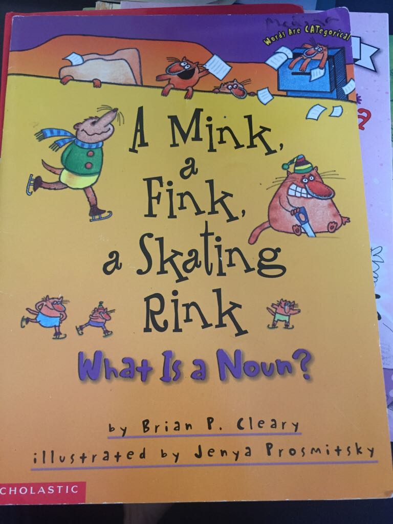 A Mink A Fink A Skating Rink - Brian P. book collectible - Main Image 1