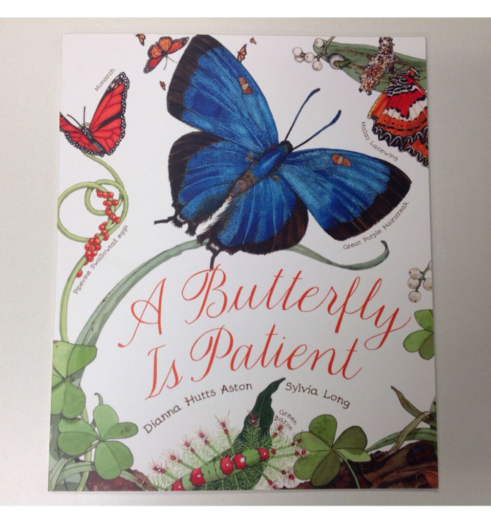 A Butterfly Is Patient