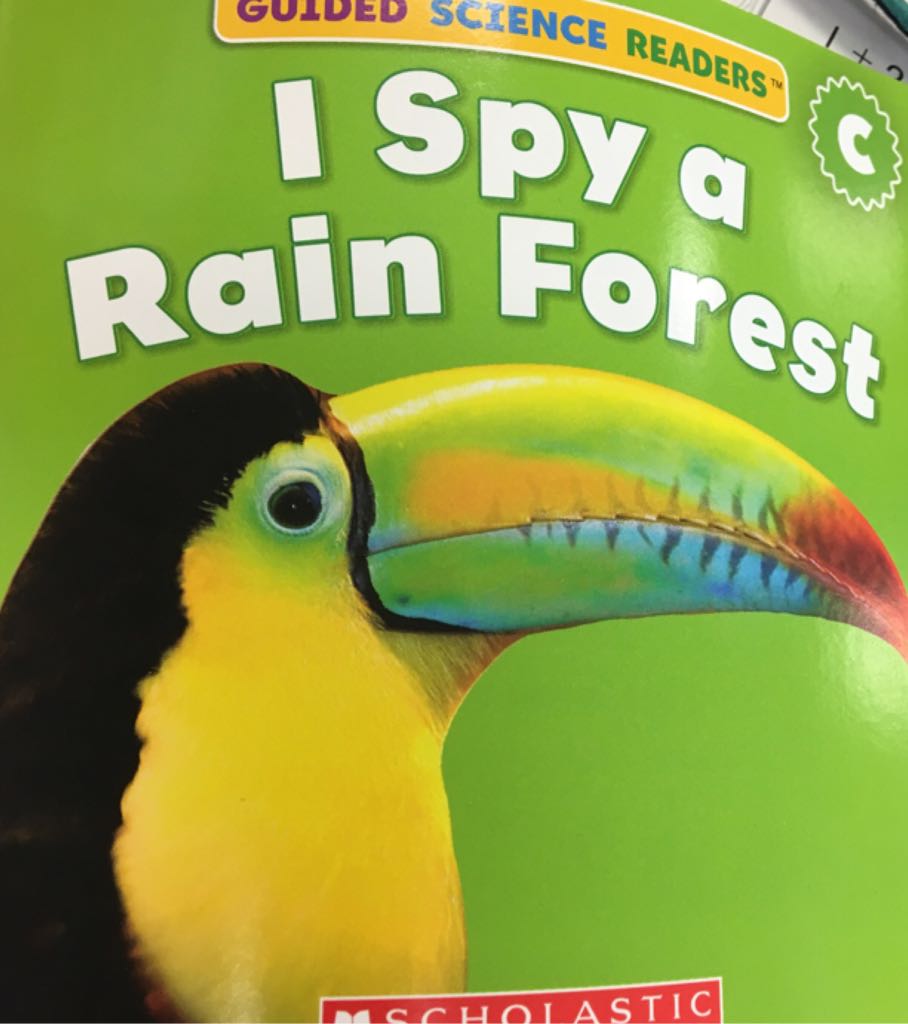 I Spy a Rain Forest