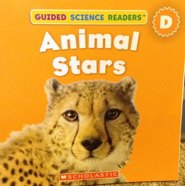 Animal Stars