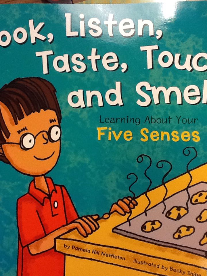 Look Listen Taste Touch And Smell