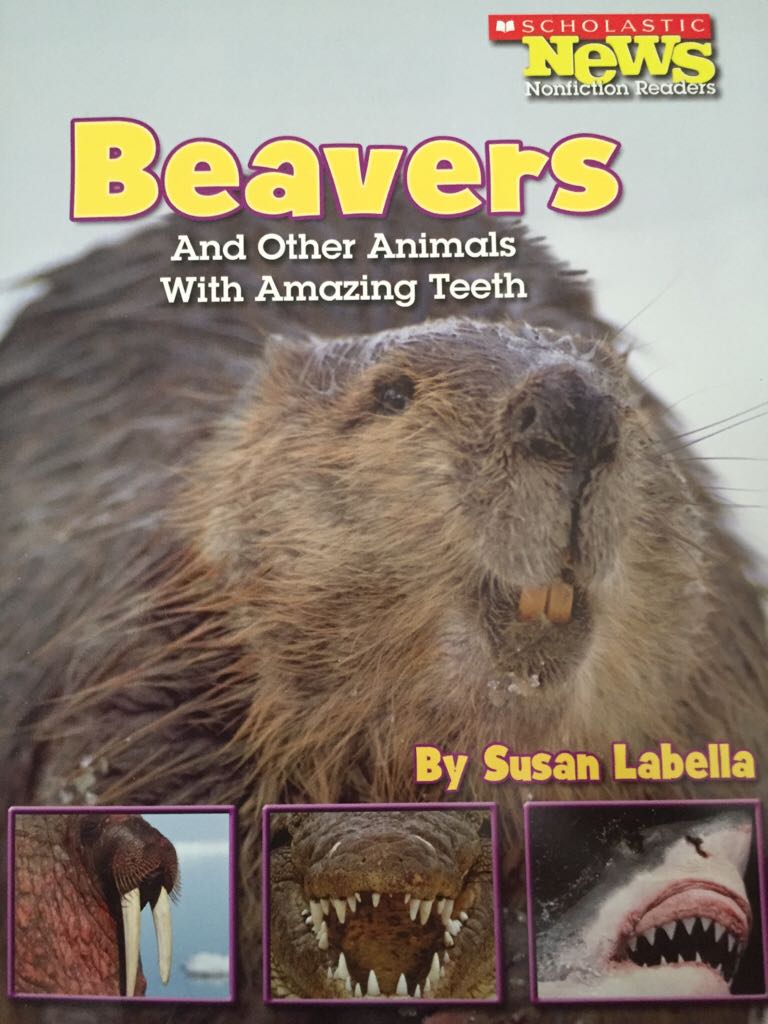 Beavers And Other Animals With amazing Teeth - Susan LaBella book collectible [Barcode 9780516247762] - Main Image 1