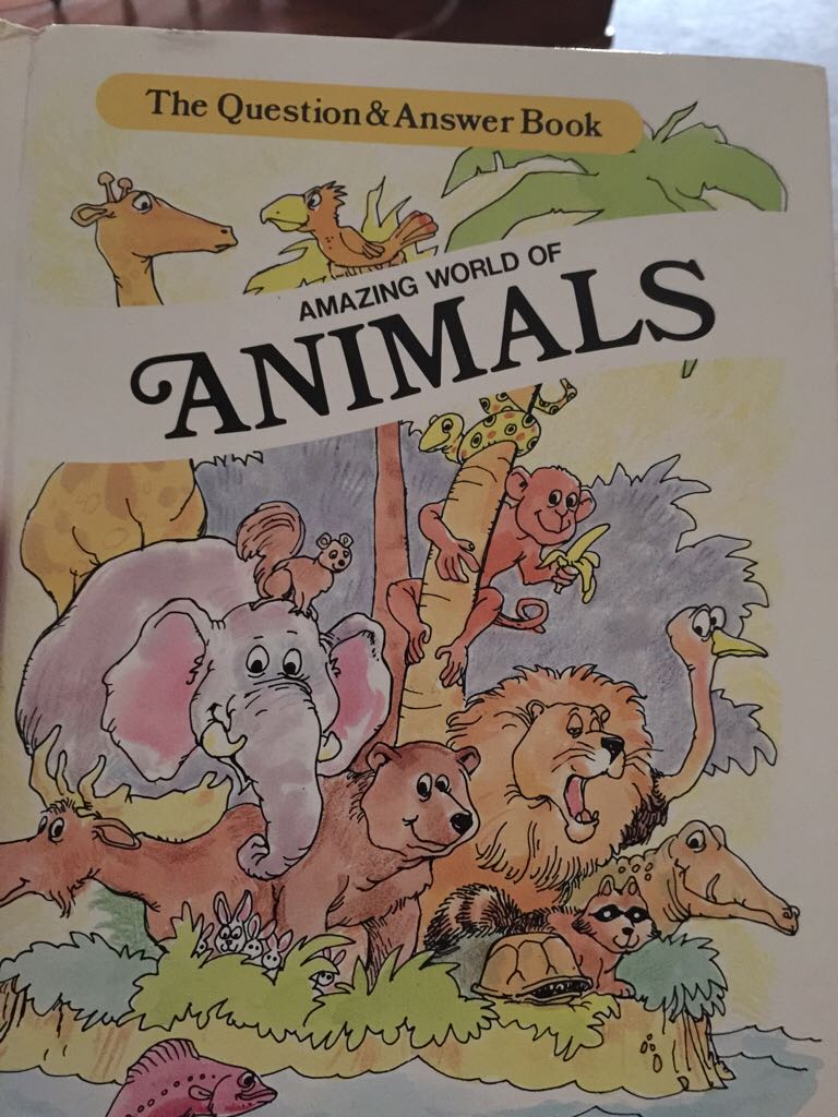 Amazing world of animals