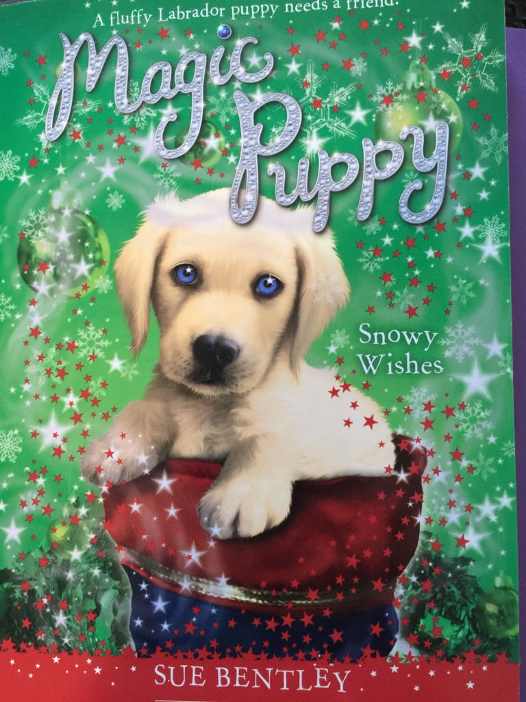 Magic Puppy Snowy Wishes