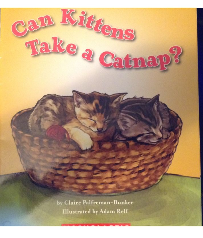 Can Kittens Take a Catnap?