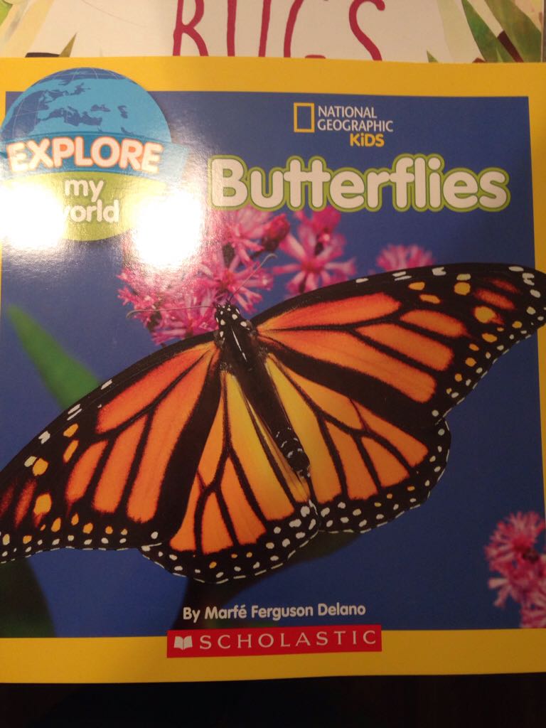 National Geographic Kids Butterflies
