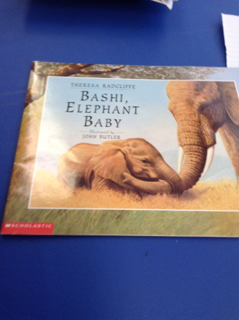Bashi Elephant Baby - Theresa Radcliffe (A Scholastic Press) book collectible [Barcode 9780590871716] - Main Image 1