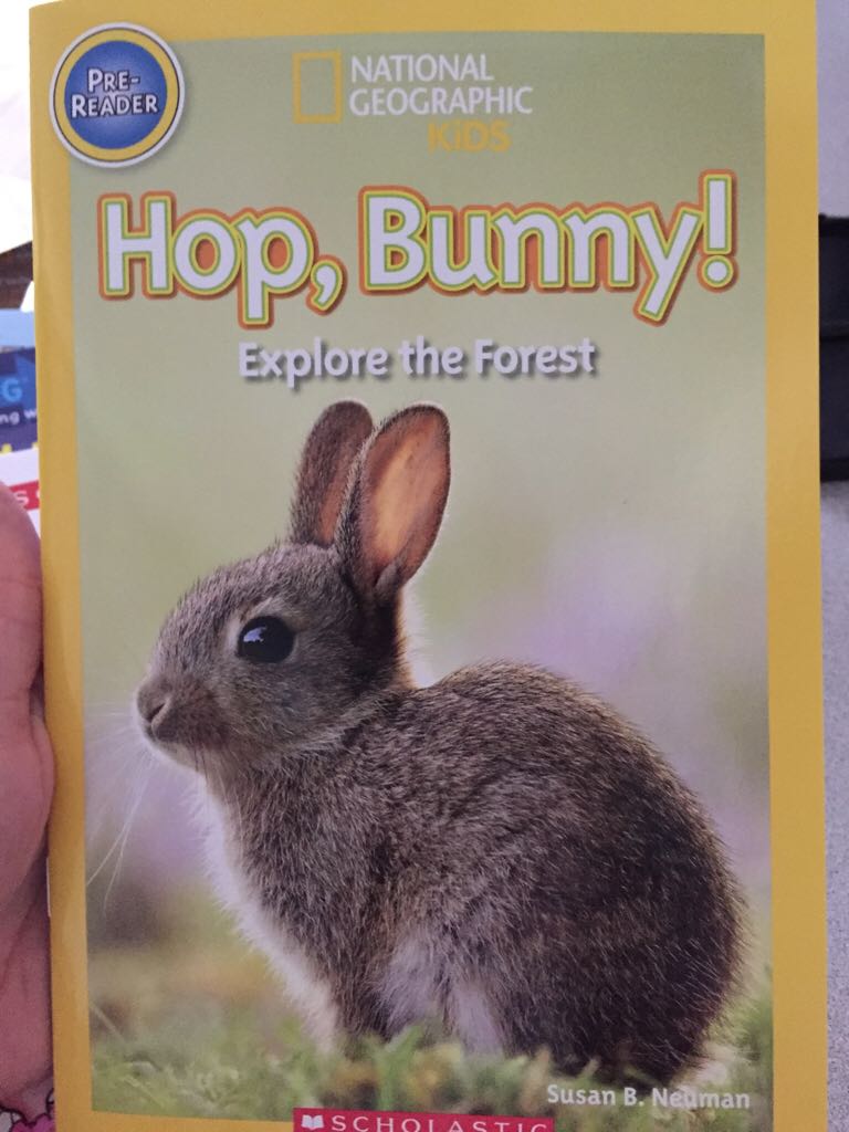 Hop Bunny