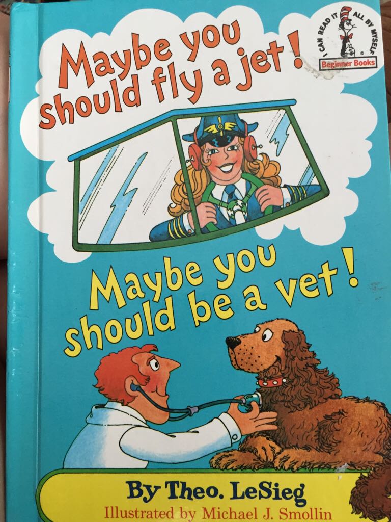Maybe You Could Fly A Jet!