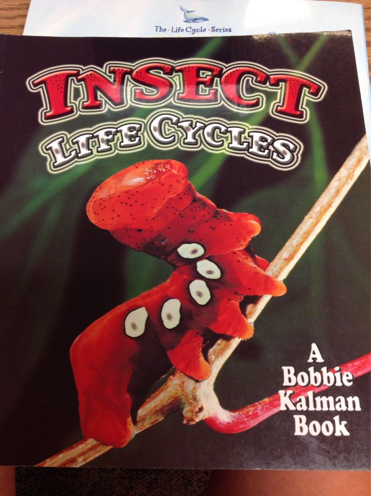 Insect Life Cycles
