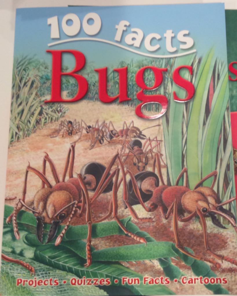 100 Facts: Bugs