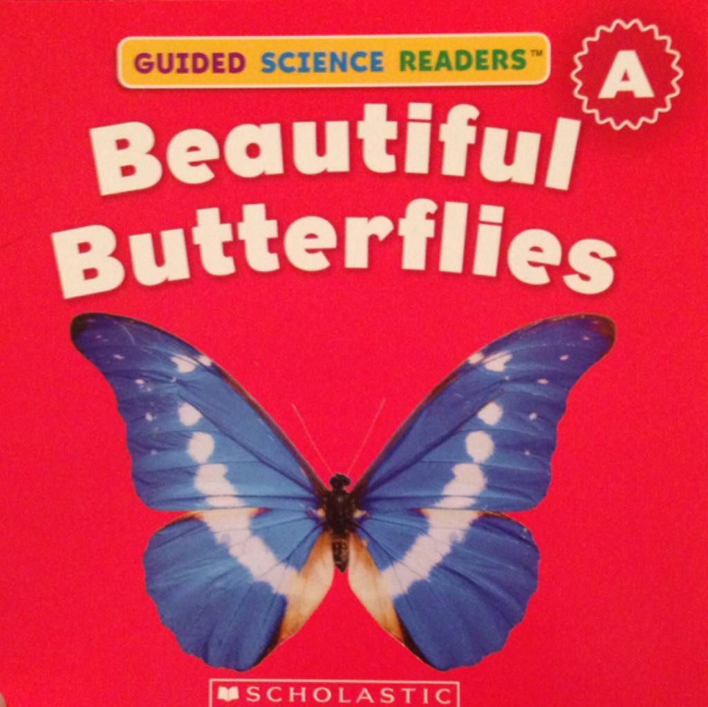 Beautiful Butterflies