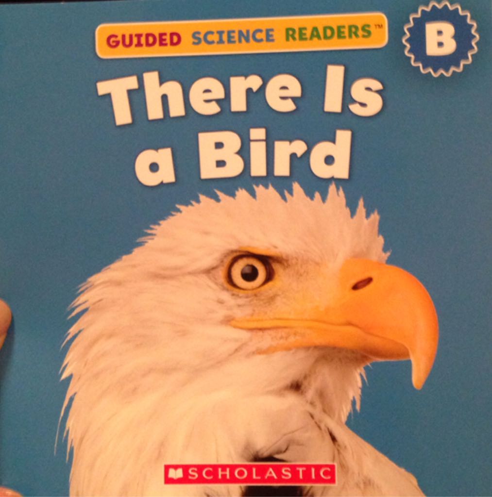 There Is A Bird