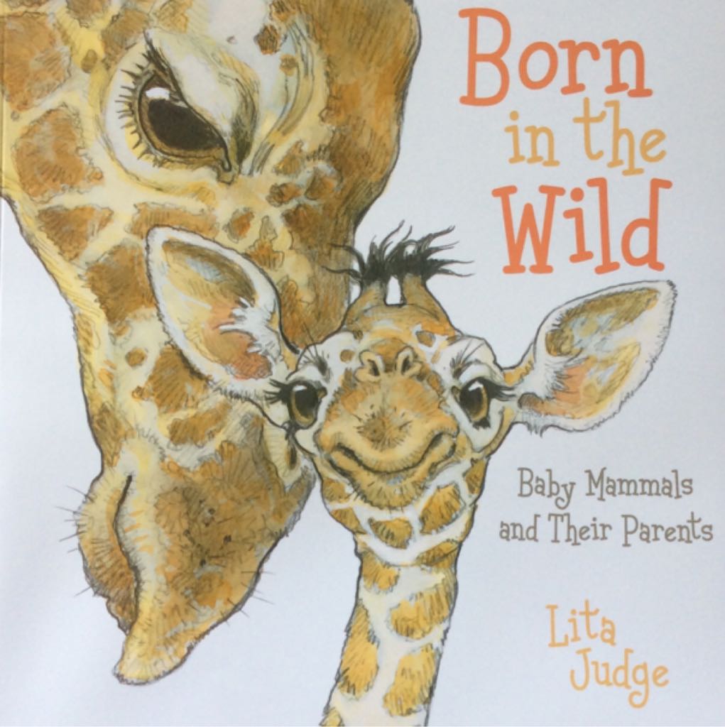 Born In The Wild - Lita Judge (Scholastic Inc. - Paperback) book collectible [Barcode 9780545874304] - Main Image 1