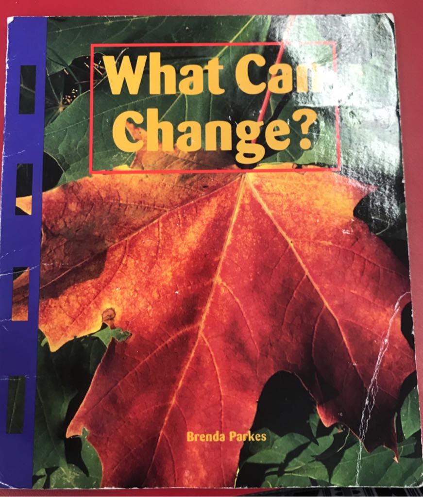What Can Change?