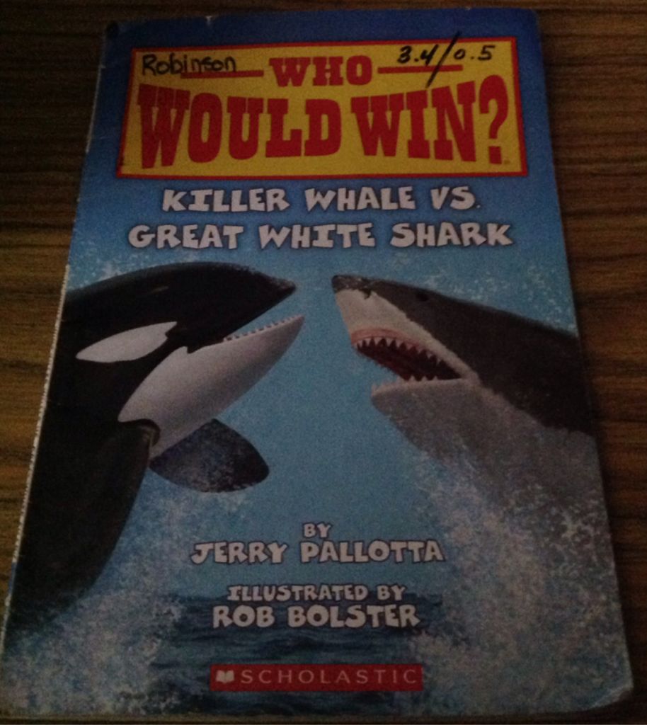 Who Would Win? Killer Whale Vs Great White Shark