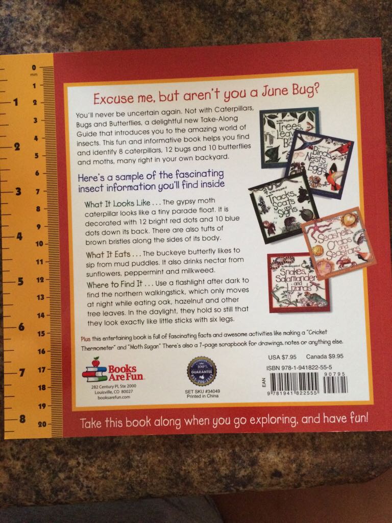 Caterpillars, Bugs And Butterflies - Mel Boring (Northword - Paperback) book collectible [Barcode 9781941822555] - Main Image 2