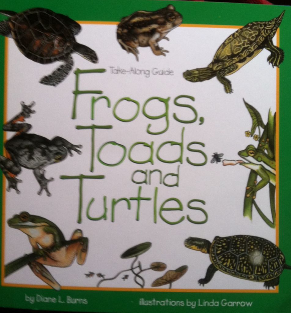 Frogs, Toads And Turtles