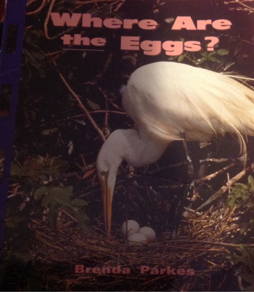 Where Are the Eggs?