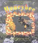 The Life Cycle of a Honeybee