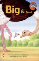 Big & small