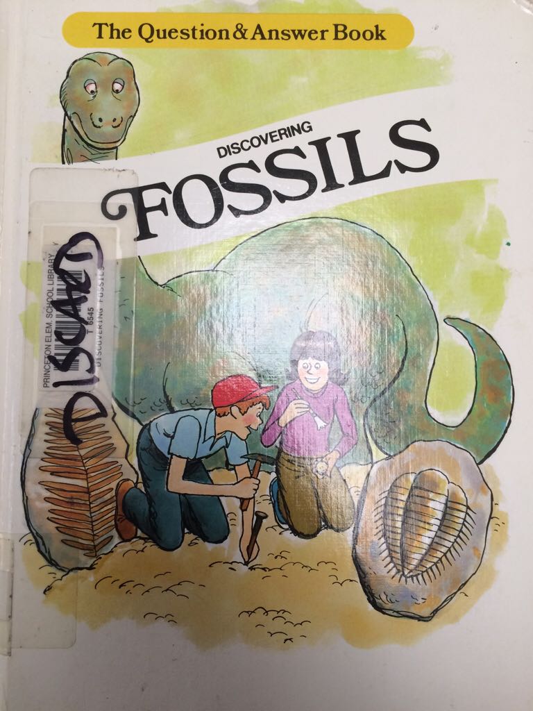 Discovering Fossils