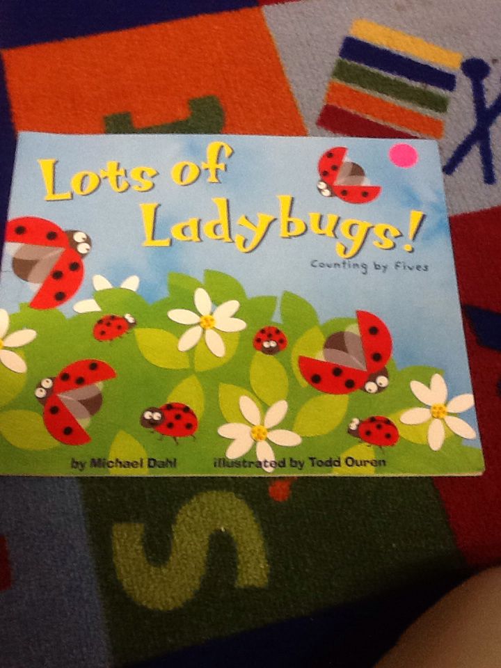 Lots of Ladybugs!