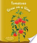 Tomatoes Grow on a Vine