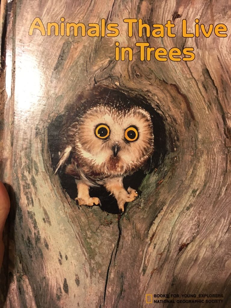 Animals That Live In Trees - Jane R. McCauley (National Geographic Society - Hardcover) book collectible [Barcode 9780870446368] - Main Image 1