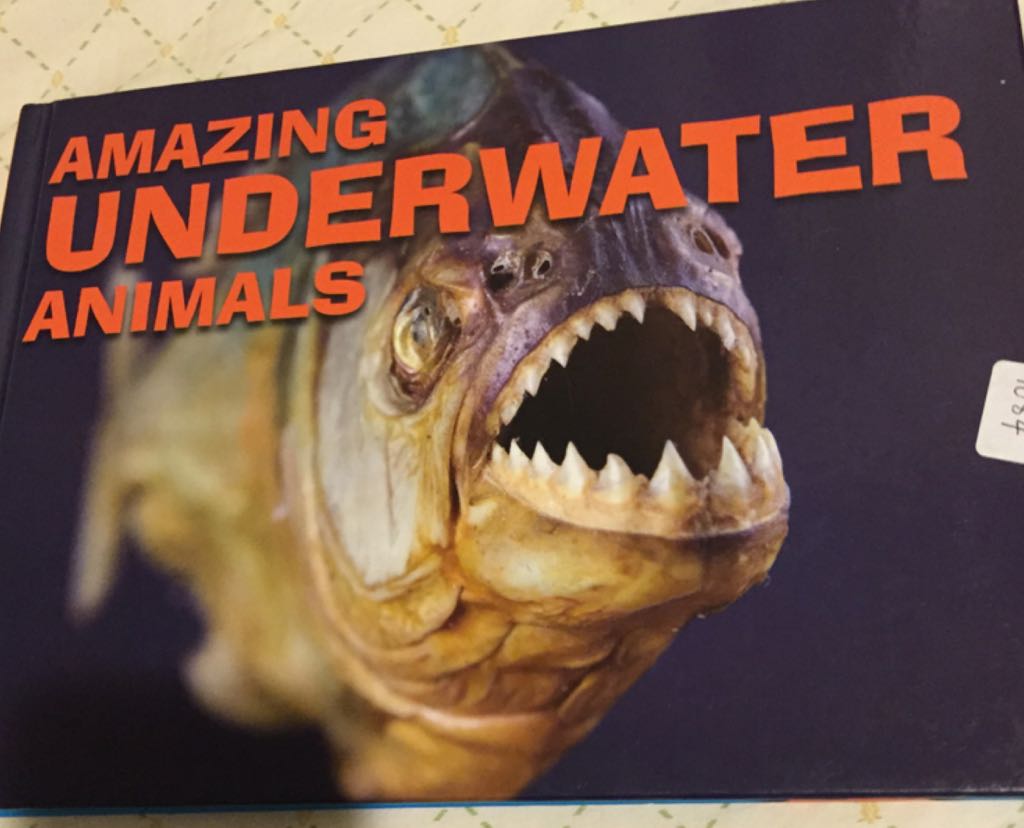 Amazing Underwater Animals - David Alderton book collectible [Barcode 9781435142800] - Main Image 1