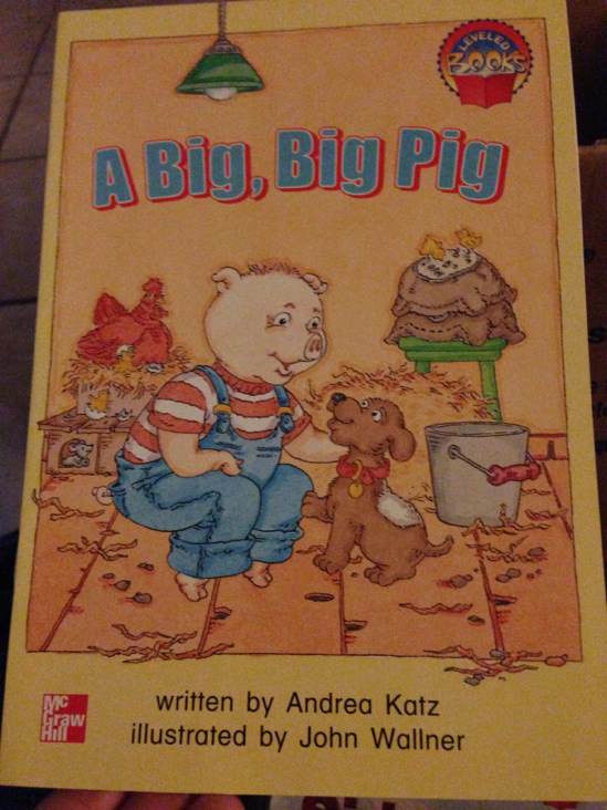 A Big, Big Pig - Andrea Katz book collectible [Barcode 9780021850037] - Main Image 1