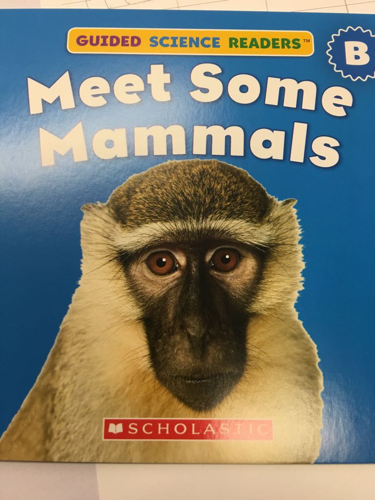 Meet Some Mammals