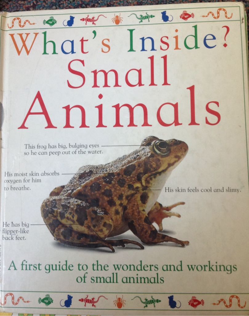 What’s inside small animals