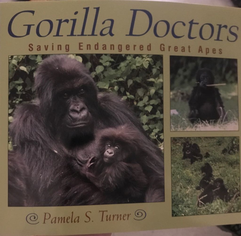 Gorilla Doctors