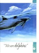 We are Dolphins