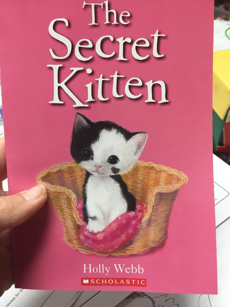 The Secret Kitten