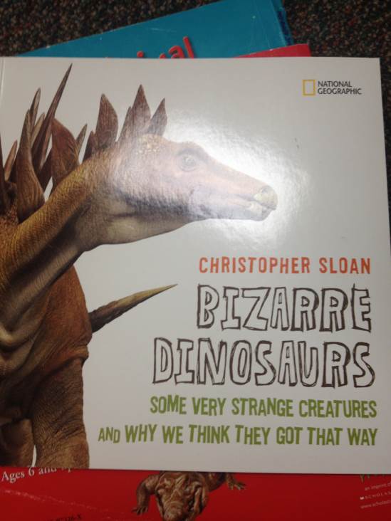 Bizarre Dinosaurs: Some Very Strange Creatures and Why We This They Got That Way