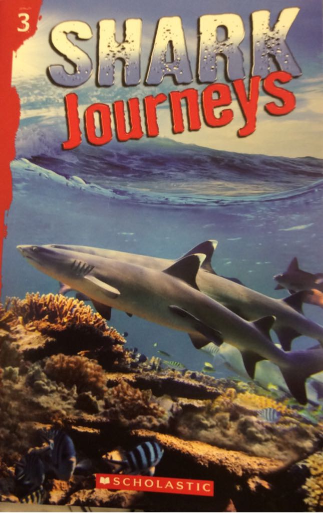 Shark Journeys