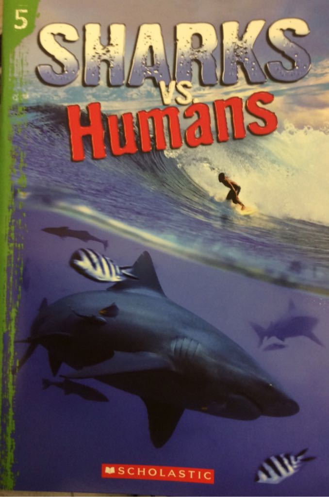 Sharks Vs Humans