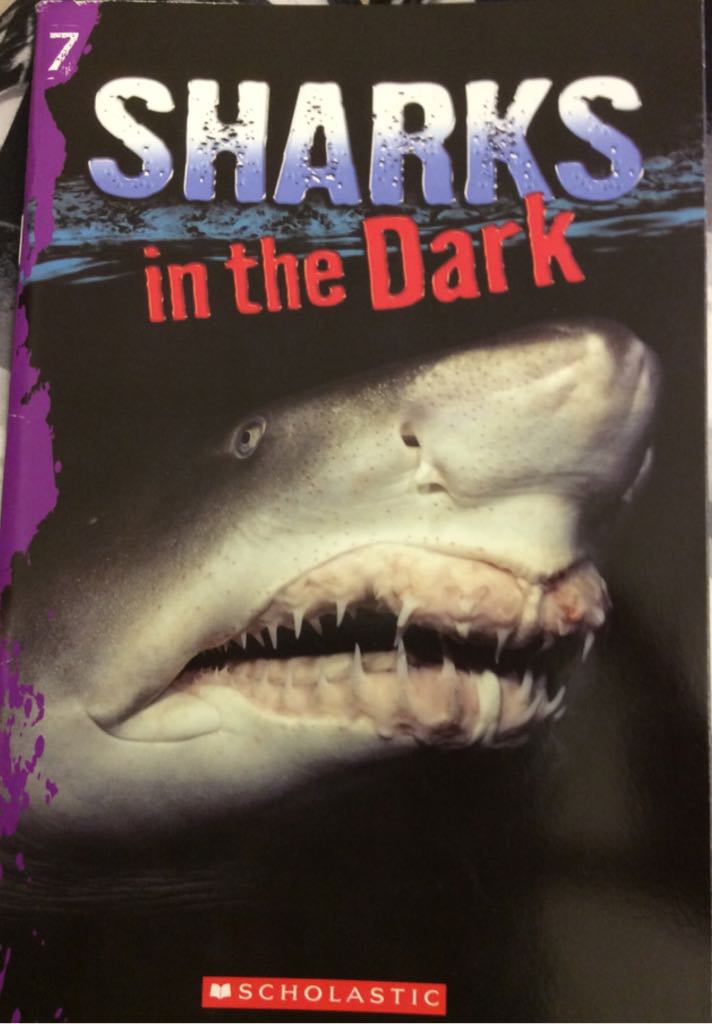 Sharks In The Dark