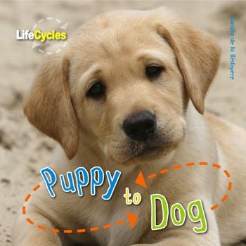 Puppy to Dog - Camilla de la Bedoyere book collectible [Barcode 9781848359215] - Main Image 1