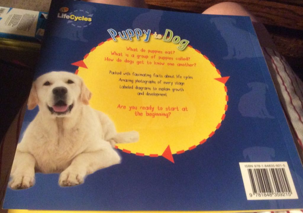 Puppy to Dog - Camilla de la Bedoyere book collectible [Barcode 9781848359215] - Main Image 2