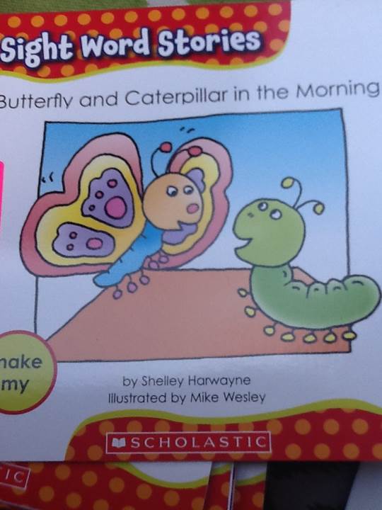 Butterfly and Caterpillar in the Morning