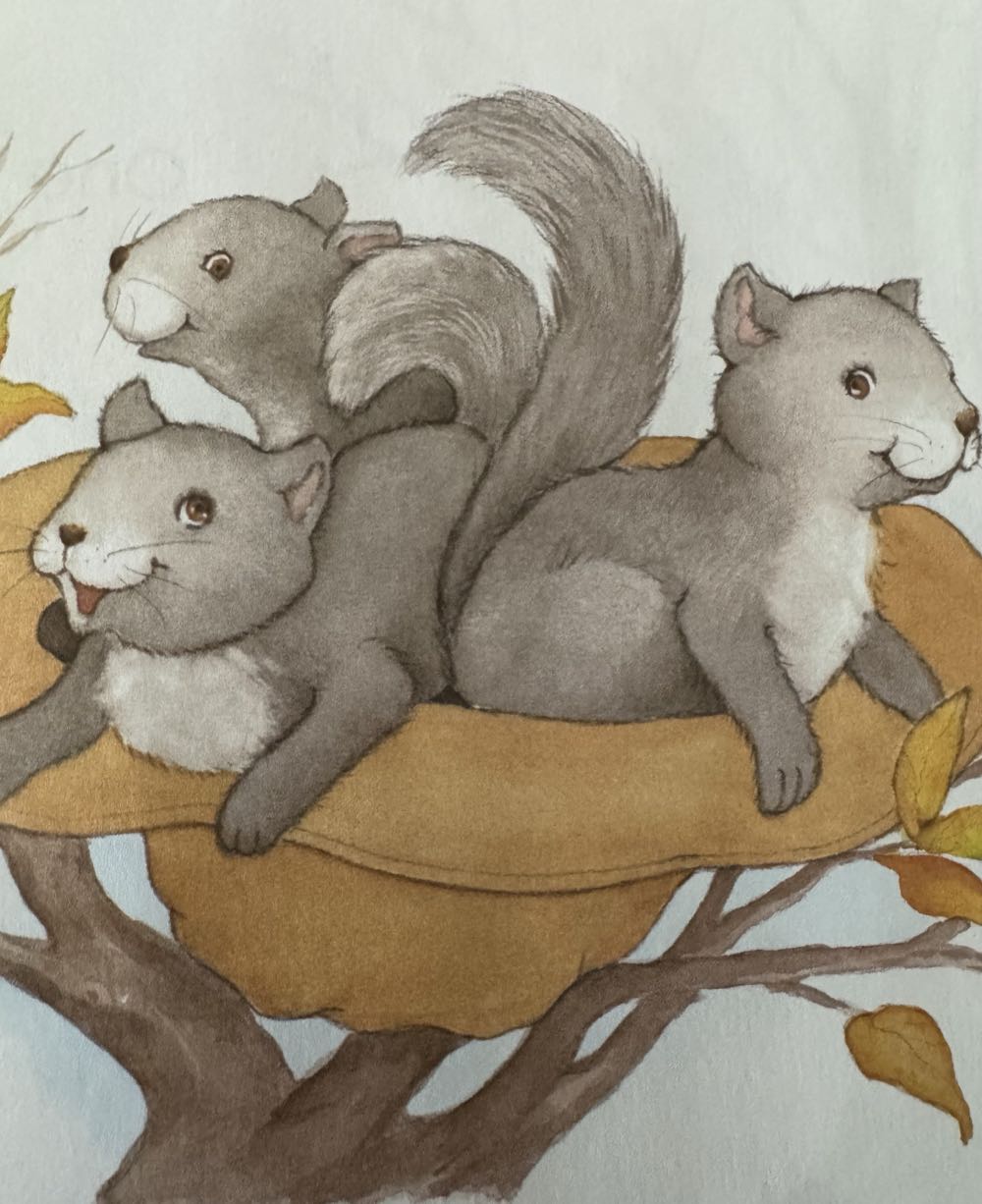 Away Went the Farmer’s Hat - Jane Belk Moncure (Childs World Incorporated) book collectible [Barcode 9780895656735] - Main Image 4