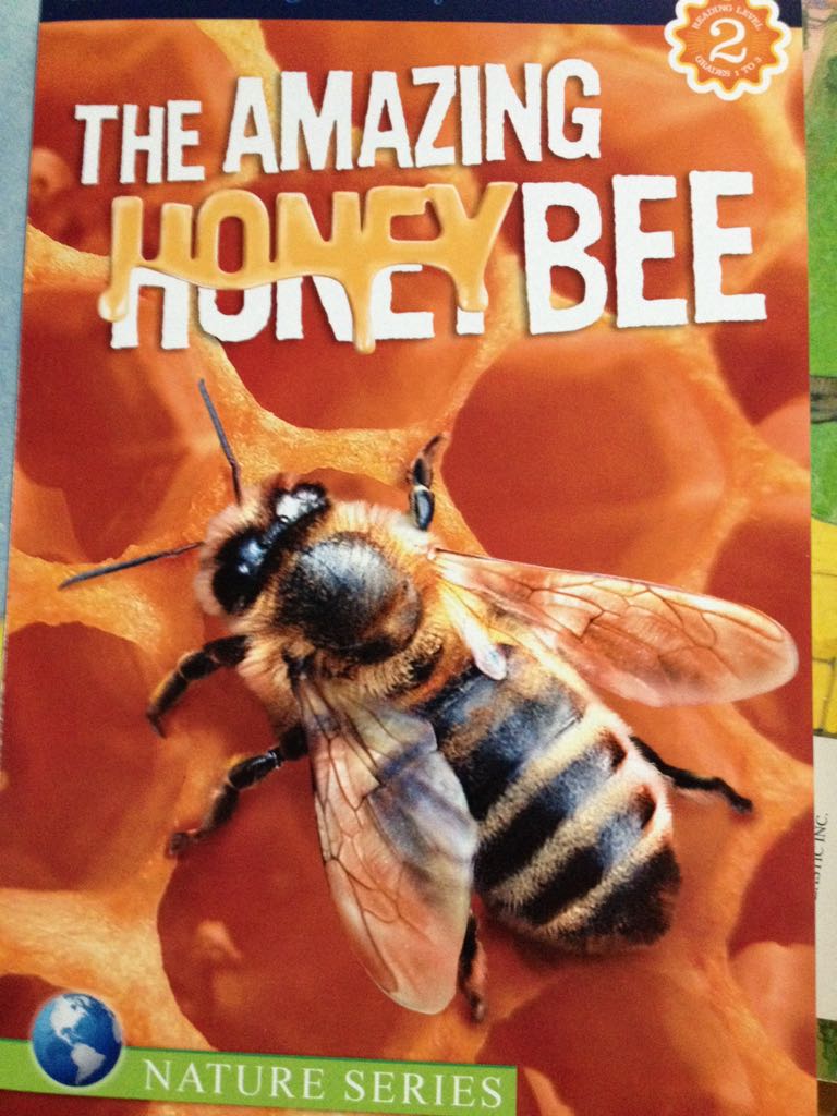 The Amazing Honeybee