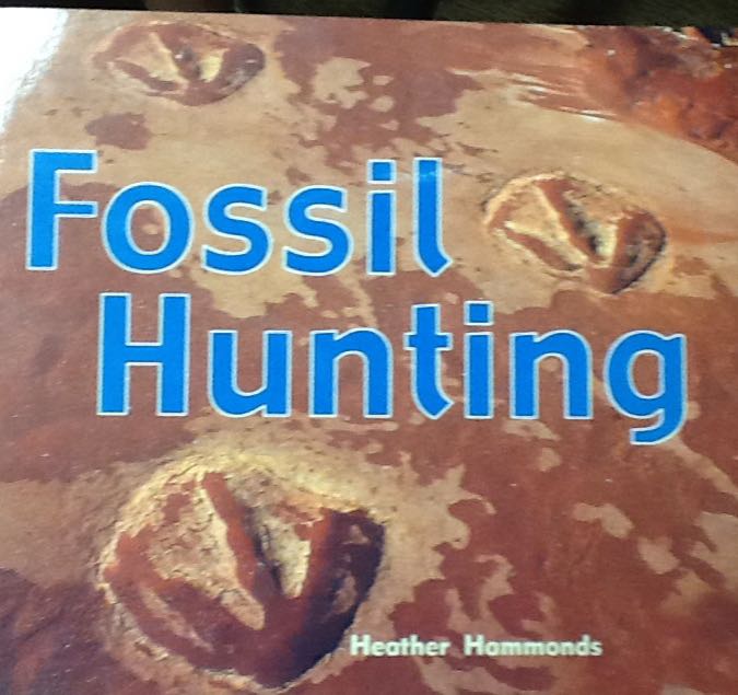 Fossil Hunting