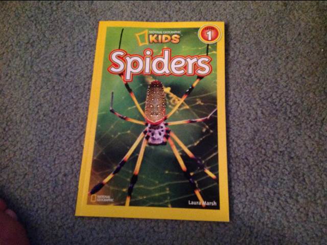 National Geographic Kids: Spiders - Laura Marsh (National Geographic Kids - Paperback) book collectible [Barcode 9781426308512] - Main Image 1